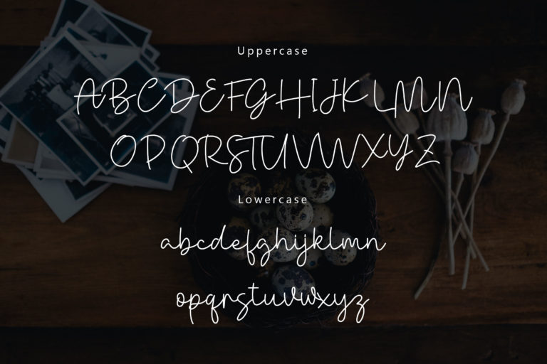 Danielle Signature - Handwritten Font - Rometheme